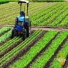 Agriculture