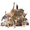 Other Animals