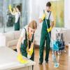 Domestic services