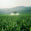 Other Agriculture