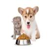 Pet Food