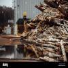 Raw Materials & Wholesale Lots