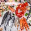 Meat & Seafood